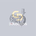 Δίσκος φρένου πίσω SDF 0.009.7067.2