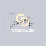 Τσιμούχα λαδιού P.T.O. SDF 2.1520.317.0