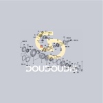 Ρουλεμάν πηνίου DT SDF 2.2560.008.0