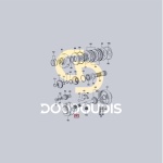 Θήκη σφαιριδίων σασμάν SDF 2.2999.312.0