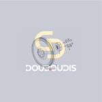 Γρανάζι βολάν SDF 0.065.1242.0