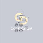 Χρονοστροφόμετρο SDF 2.7049.800.0/10