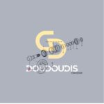 Ζεύγος κωνικών γραναζιών SDF 0.010.0970.3/50