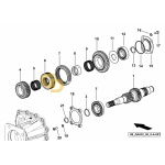 Λαστιχάκι ρεβέρσας P.T.O. SDF   2.1532.503.0