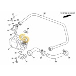 Δακτύλιος στεγανοποίησης SDF   2.1539.524.0